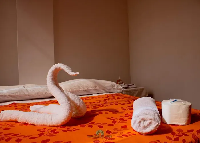 Hotel Hinkiori - Manu Pillcopata